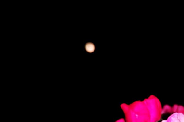 img-20221119-0139358183F367-2BA6-FCC1-DCF1-337FF849B762.jpg